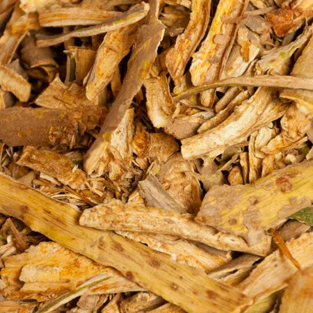 Devil’s Club (Oplopanax horridus) is a powerful, protective plant native to the Pacific Northwest and traditionally used in Indigenous medicine for its many health supporting properties.