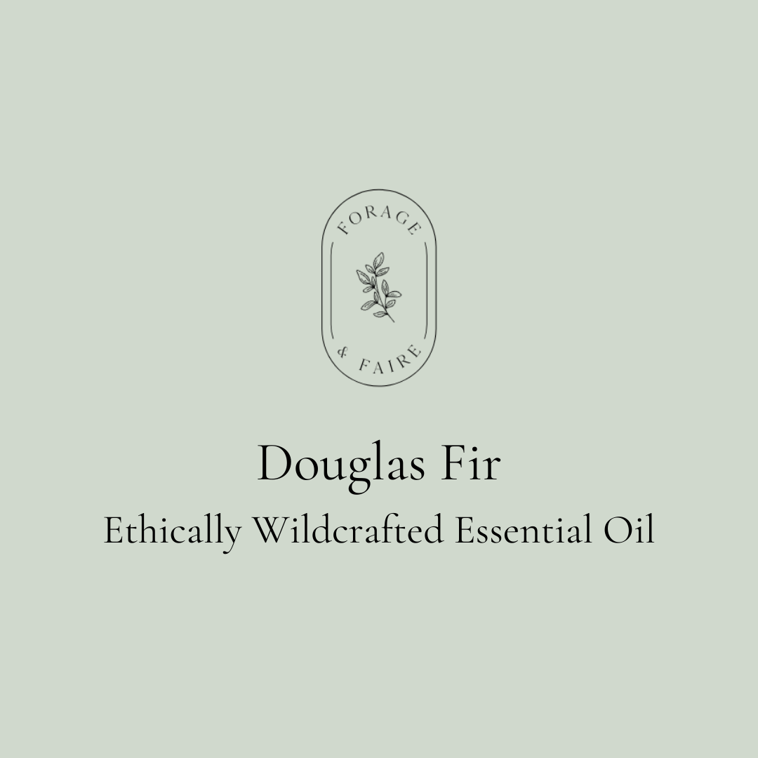 Douglas Fir Essential Oil
