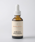 Our Echinacea Angustifolia Herbal Tincture is thoughtfully crafted using organically grown, sustainably harvested roots. Revered in traditional Western herbalism, this potent variety of Echinacea is valued for its powerful health supporting properties.