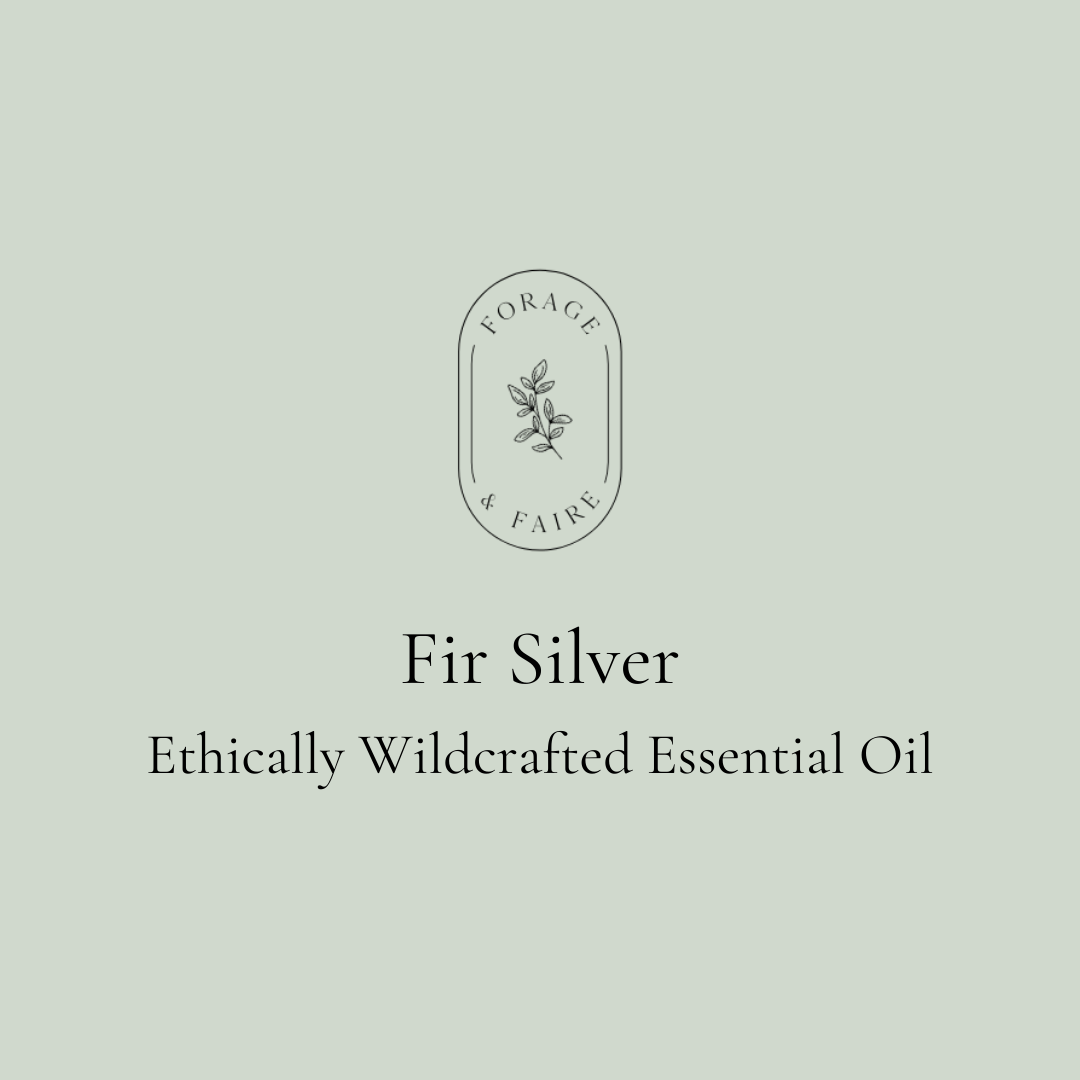 Fir Silver Essential Oil