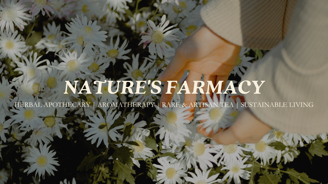Forage & Faire is an Herbal Apothecary offering Herbal Medicine, Aromatherapy, Sustainable Living Essentials and more in Downtown Abbotsford, British Columbia.