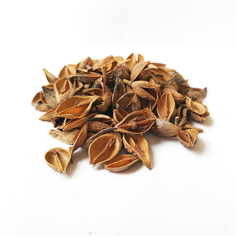 Forsythia Fruit (Forsythia suspensa), known as Lian Qiao in Traditional Chinese Medicine, is a cooling and cleansing herb traditionally used for its many health supporting benefits.