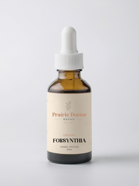 Our Forsythia Herbal Tincture is carefully crafted using organically grown, sustainably harvested Forsythia fruit. Traditionally used in traditional Chinese herbal medicine, Forsythia is valued for its cooling and cleansing properties.