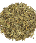 Ginkgo (Ginkgo biloba) is one of the oldest living speicies on the planet and has been used in Traditional Chinese Medicine (TCM) for many centuries for its powerful health supporting properties.