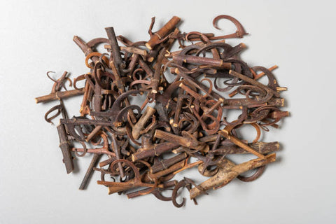 Gou Teng (Uncaria rhynchophylla) is a commonly used herb in Traditional Chinese Medicine that is believed to ease "hyperactive liver yang". Gou Teng is energetically cooling and is considered to be sweet in taste.