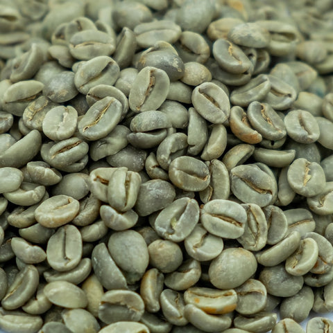 Our Green Coffee Bean Oil is cold-pressed from organically grown, unroasted coffee beans. Green Coffee Bean Oil is a lightweight, antioxidant-rich oil that is deeply revered for its rejuvenating effects on the skin.