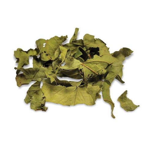Guava Leaf (Psidium guajava) has been used for centuries in traditional herbal practices across Central America, Asia, and the Caribbean for its health supporting properties.
