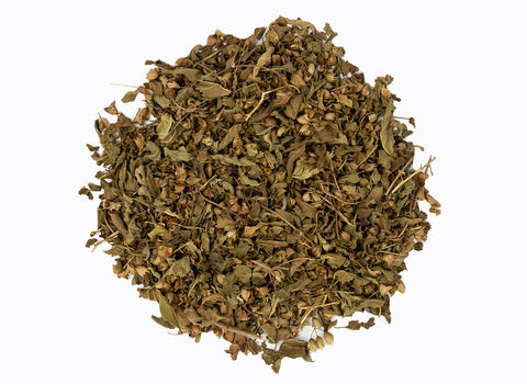 Holy Basil (Ocimum tenuiflorum), otherwise known as Tulsi Rama, is a tropical species of Holy Basil that has been used in Ayurveda and highly revered in as a sacred plant in India for many centuries.