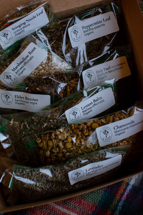 Give the gift of at home herbalism with our Home Apothecary Gift Box—a beautifully curated collection of eight foundational herbs beloved for their gentle, supportive properties.