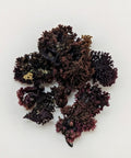 Irish Sea Moss (Chondrus crispus) is a nutrient-dense red algae traditionally used in Irish and coastal herbalism for its ability health supporting properties.