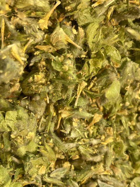 Ironwort (Sideritis syriaca), also known as Greek Mountain Tea, is a hardy, aromatic herb traditionally used in Mediterranean and Balkan herbal medicine for its many health supporting properties.