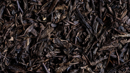 Our organic Kirishima Hojicha green tea comes from 5th generation farmers in Kirishima. This high quality tea offers notes of roasted rice and caramel.