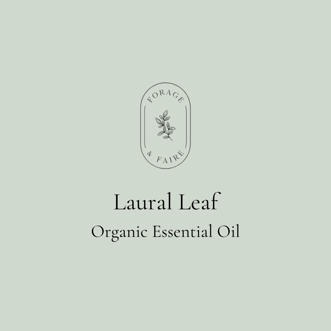 Laural Leaf Essential Oil