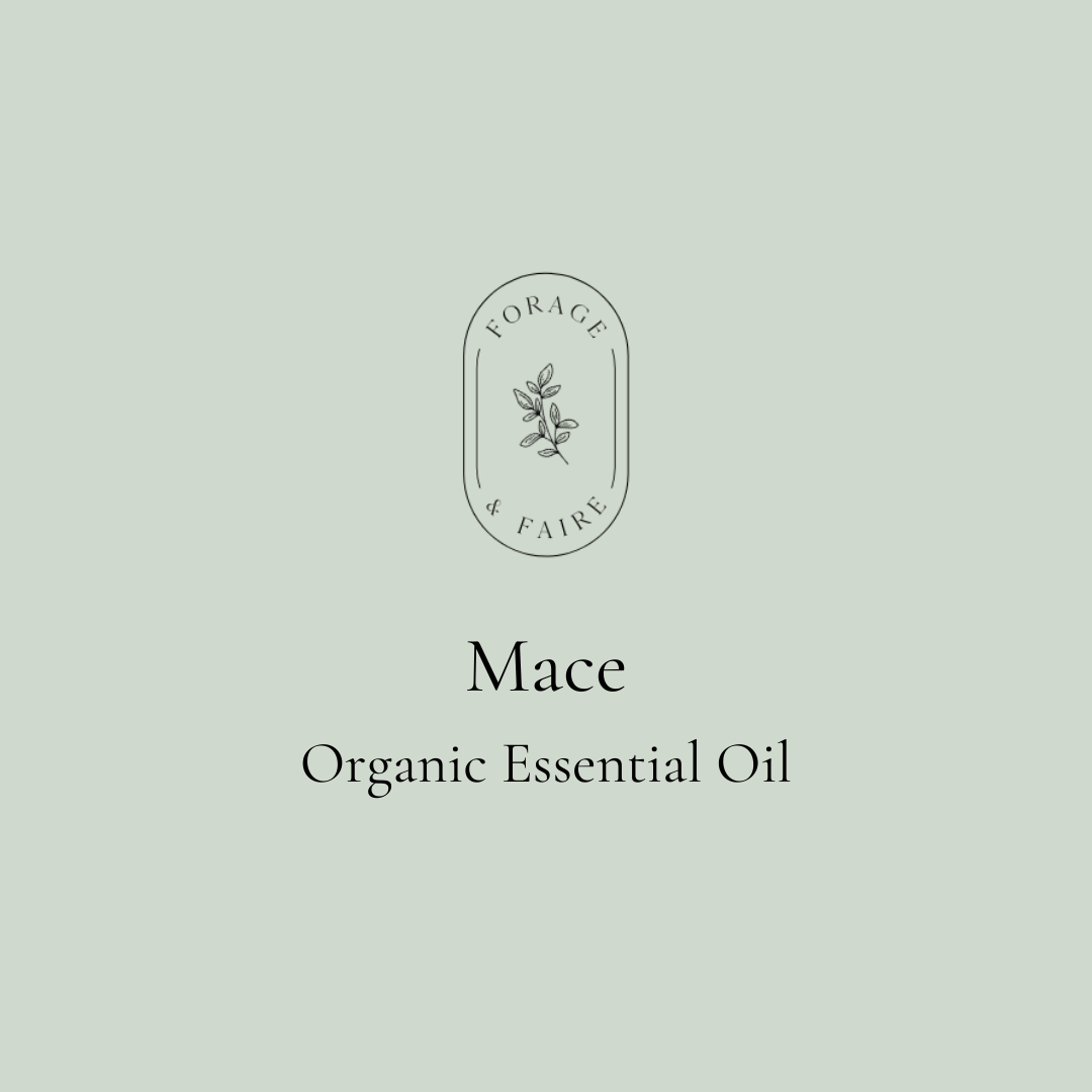 Mace Essential Oil