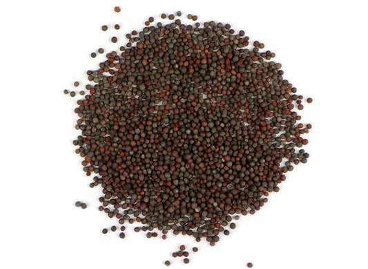 Brown Mustard Seed (Brassica juncea) is a member of the mustard and cabbage family that originates in Asia. Mustard seed has a long history of use as a both a culinary ingredient as well as a medicinal herb in many cultures around the world.