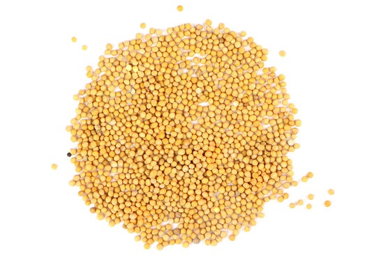Yellow Mustard Seed (Sinapis alba) has a long history of use for its heath supporting properties and as a commonly used culinary ingredient. Yellow Mustard Seeds have a pungent and spicy flavour and were used as a popular folk remedy long before becoming the household staple condiment that it is today.