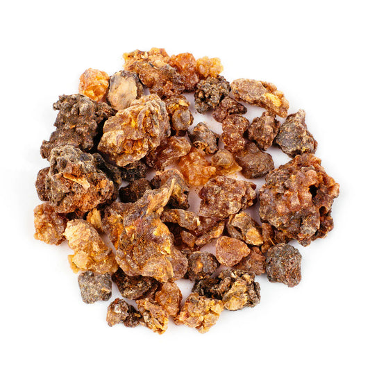 Myrrh (Commiphora myrrha) is a highly aromatic resin that originates in the times of Ancient Egypt. Myrrh is a low growing desert tree that exudes a yellow viscous sap from its bark when damaged.