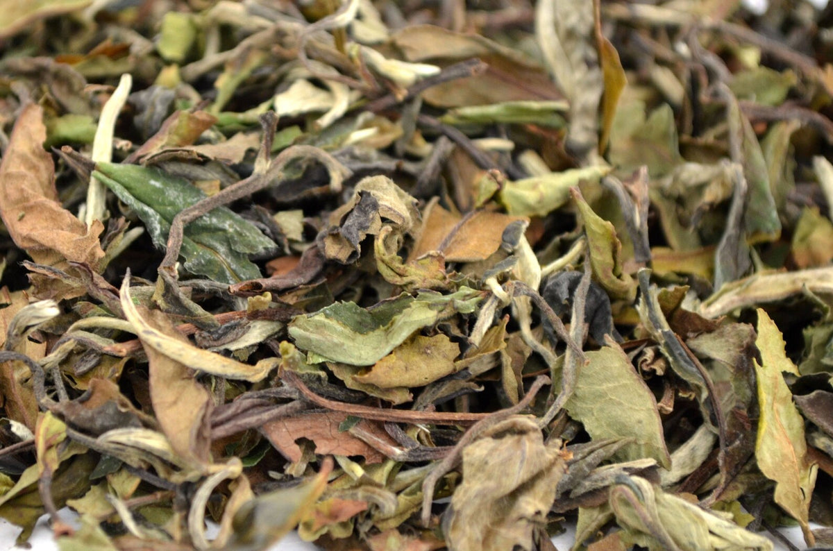 Mu Can Tea Organic Pai Mu Tan White Tea | Rare & Artisan Teas | Forage & Faire