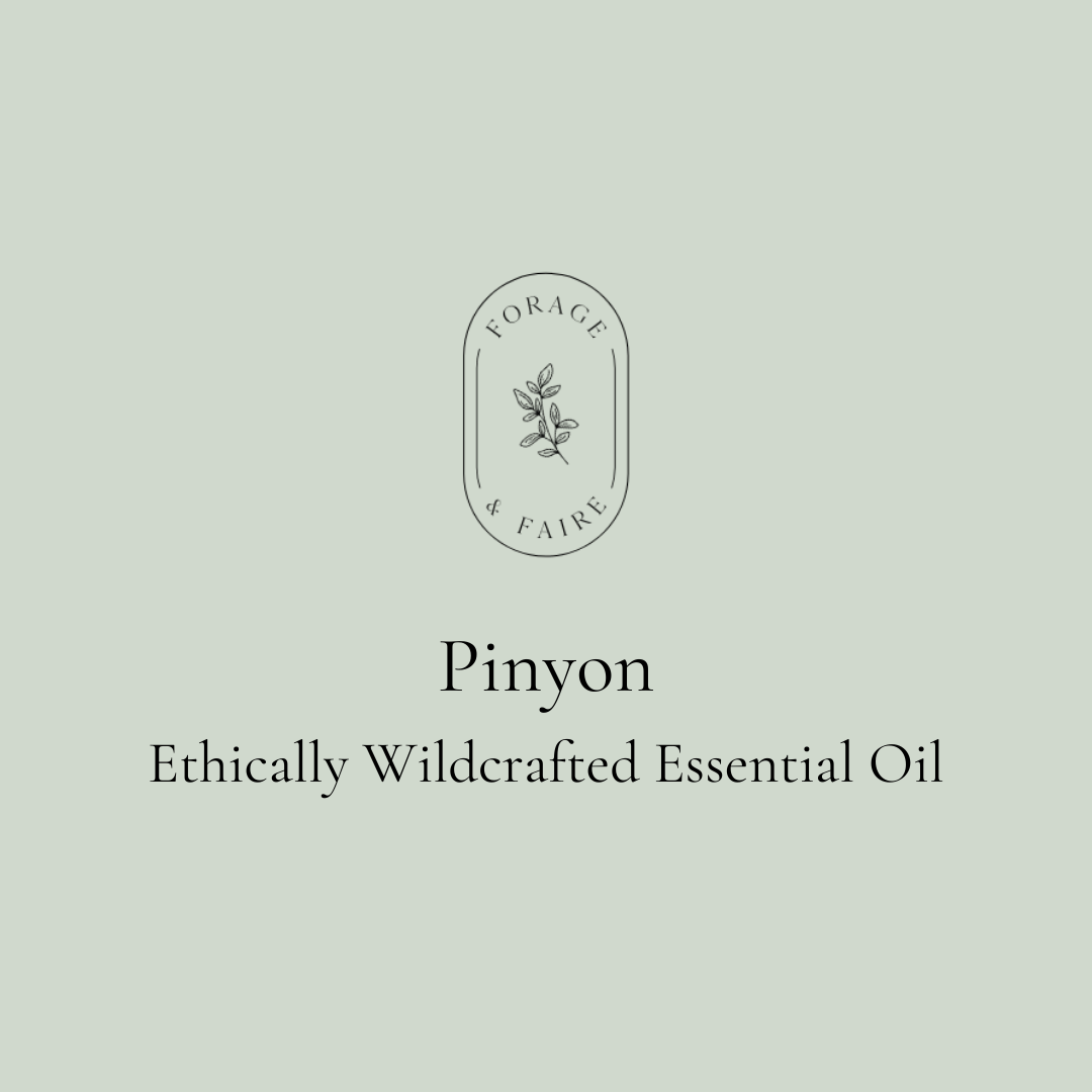 Pinyon Essential Oil