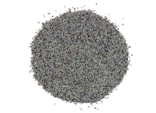 Blue Poppy Seeds (Papaver somniferum) are incredibly popular in Central Europe, where they are used as a common culinary ingredient.