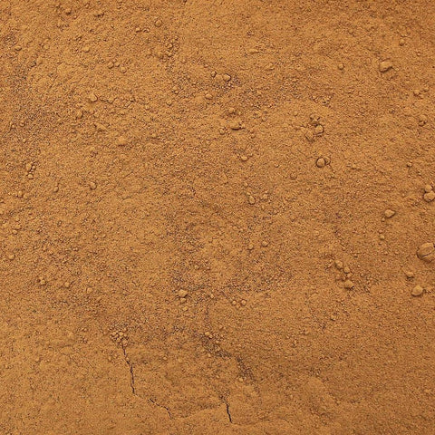 Ramón Roasted Powder (Brosimum alicastrum), also known as breadnut or Maya nut, is a nutrient-rich superfood traditionally used by Indigenous communities of Central America for its sustaining, energizing, and grounding properties.