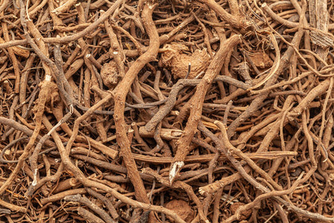 Rauvolfia (Rauvolfia serpentina) is a powerful root traditionally used in Ayurvedic and Southeast Asian herbal medicine for its calming, grounding, and nervine properties.