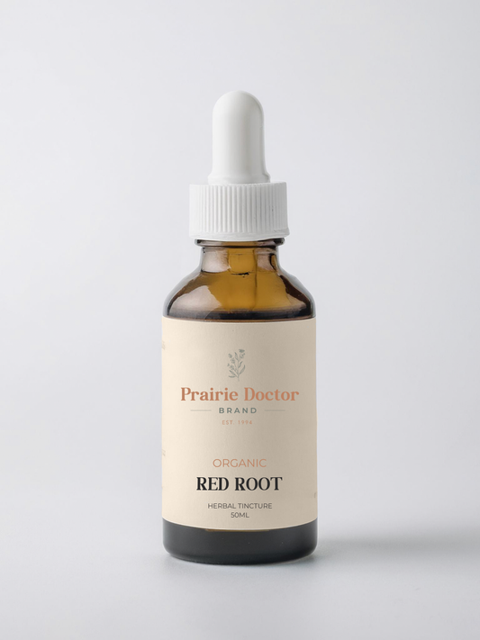 Our Red Root tincture is thoughtfully crafted using sustainably wildcrafted Red Root. Traditionally used in North American herbalism, this powerful astringent herb has been valued for its many health supporting properties.