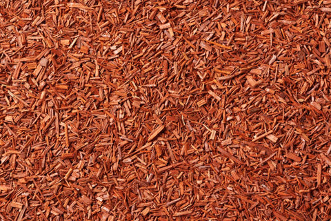 Red Sandalwood (Pterocarpus santalinus) is a revered herb in Ayurvedic and traditional Eastern medicine, known for its cooling, cleansing, and skin-supportive properties.