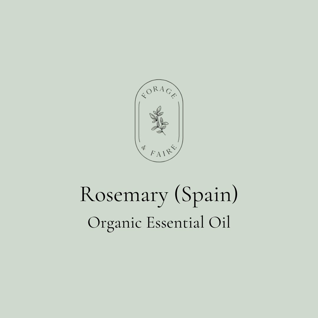 Rosemary (Spain) Essential Oil