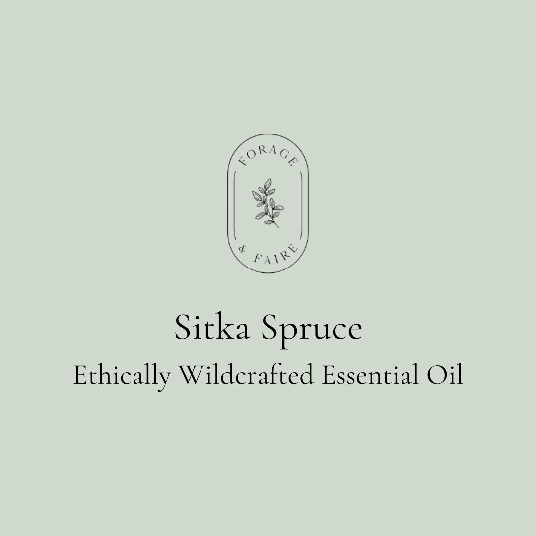 Sitka Spruce Essential Oil