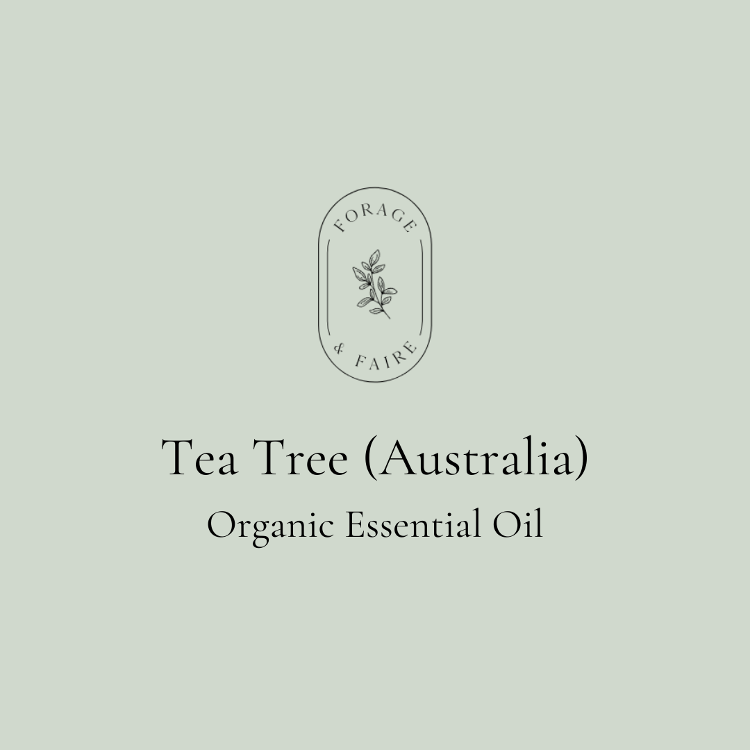 Tea Tree (Australia) Essential Oil