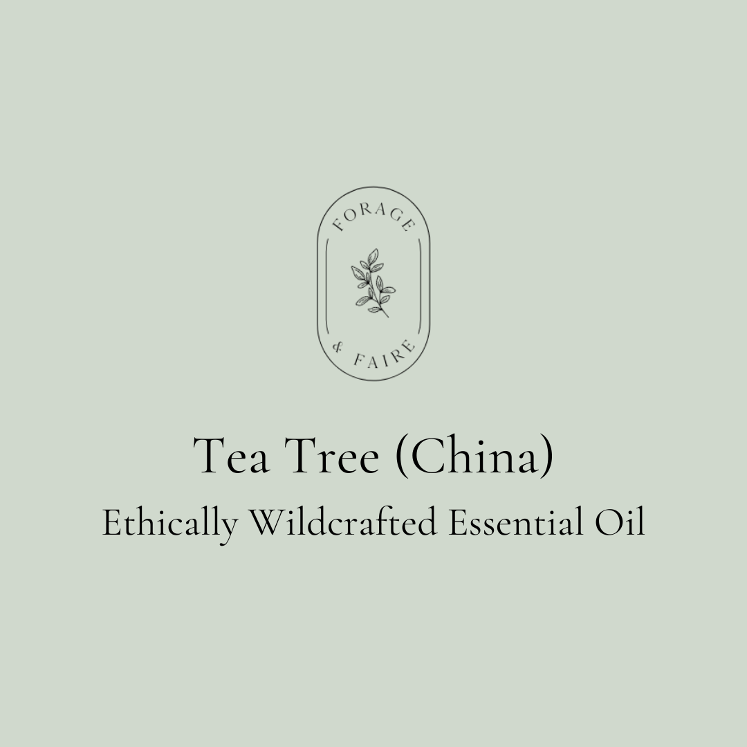 Tea Tree (China) Essential Oil