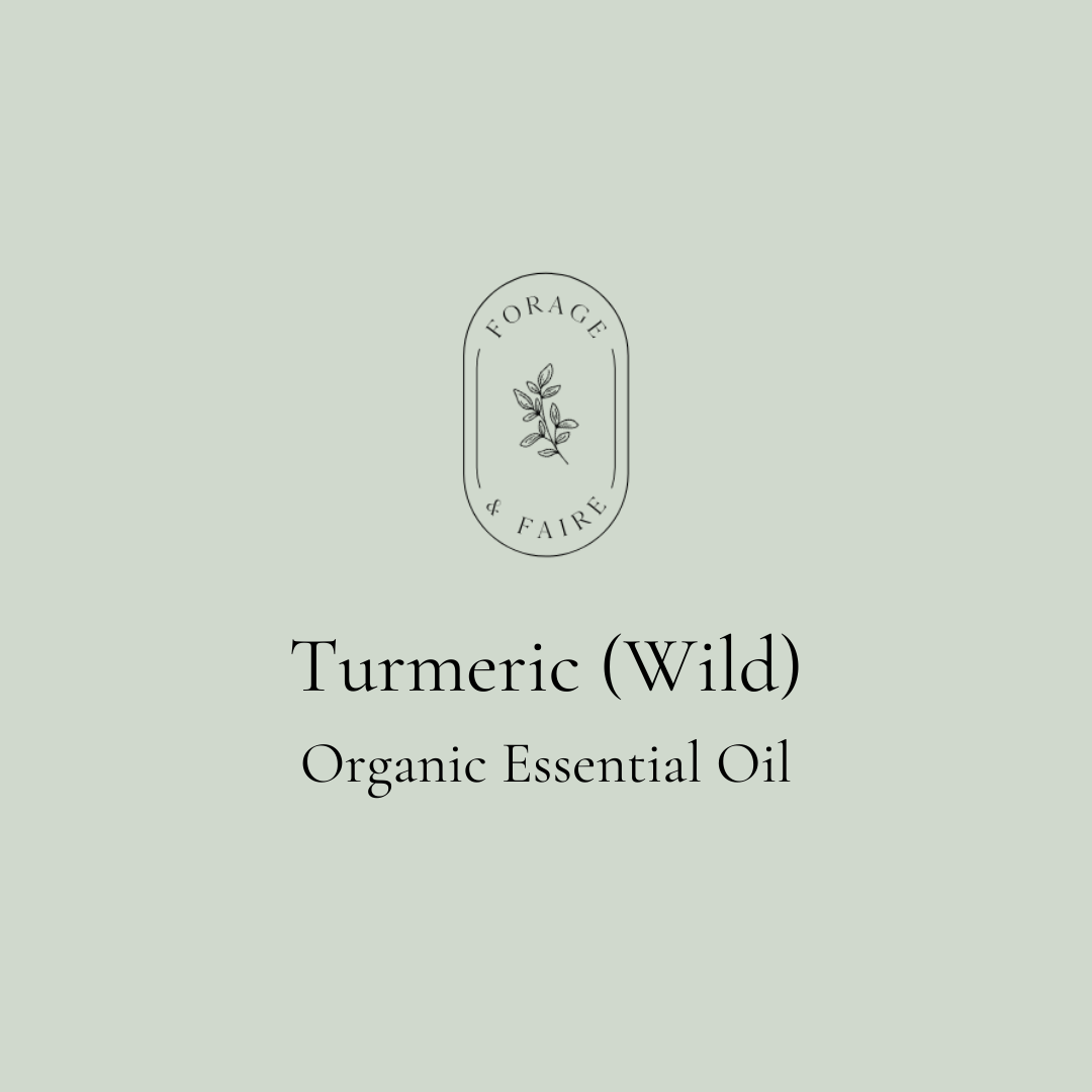 Turmeric (Wild) Essential Oil
