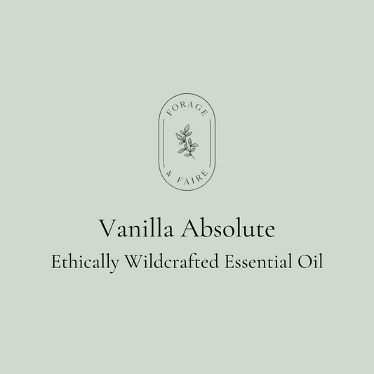 Vanilla Absolute Essential Oil