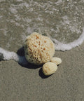 Wool sea sponges have been used for generations as a way to exfoliate and cleanse.