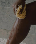 Wool sea sponges have been used for generations as a way to exfoliate and cleanse.