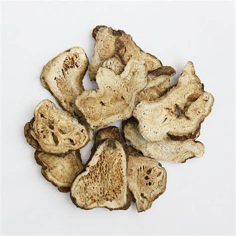 White Atractylodes (Atractylodes spp.) originate in Eastern Asia and have a long history of use in Traditional Chinese Medicine (TCM) in which they are also commonly referred to as "bái zhú".