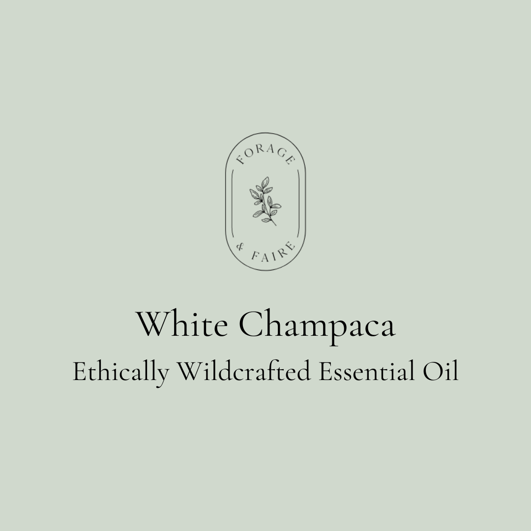 White Champaca Essential Oil