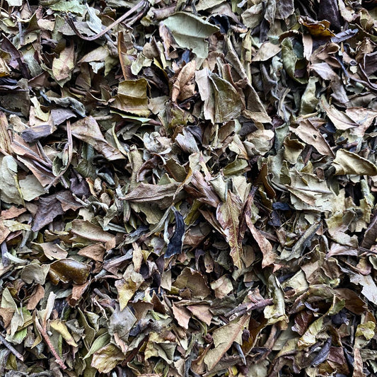 Our organic White Tea #2 (Huang Shan) is a gentle, floral white tea that is ideal for everyday sipping. With very low astringency, this tea is ideal for those who are newer to drinking artisan teas.