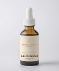Our Willow Bracket mushroom tincture is made with ethically wildcrafted, Canadian grown fruiting bodies. Traditionally revered in folk herbalism, Willow Bracket has been deeply valued for its ability to support immune and cardiovascular health.