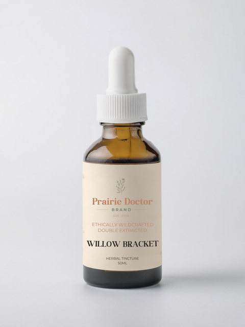 Our organic Willow Bracket mushroom tincture is made with ethically wildcrafted, Canadian grown fruiting bodies. Traditionally revered in folk herbalism, Willow Bracket has been deeply valued for its ability to support immune and cardiovascular health.