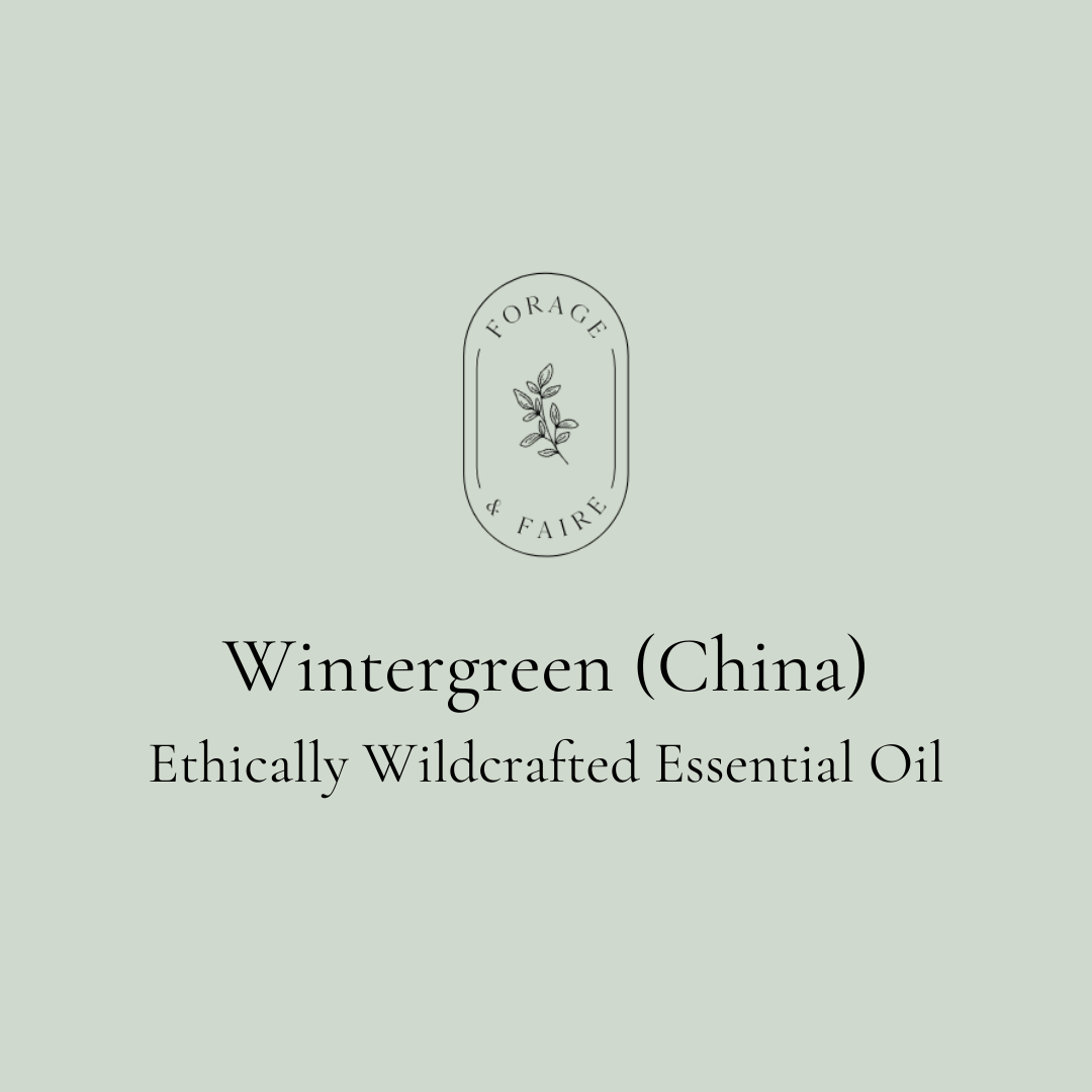 Wintergreen China Essential Oil