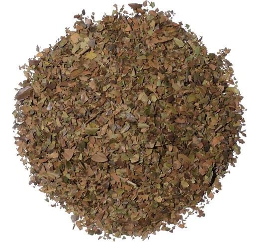 Yaupon Tea (Ilex vomitoria) has a long history of use amongst Indigenous North Americans and is the only caffeinated plant that originates in North America growing wildly throughout the Southern United States.