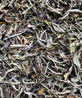 Our organic Yunnan White Moonlight is a very rich, sweet white tea. <span data-mce-fragment="1">The picking standard for this tea is one bud and one leaf -- the unoxidized buds give off notes of flowers and a hint of spice, while the lightly oxidized young leaves add notes of honey and fruit.