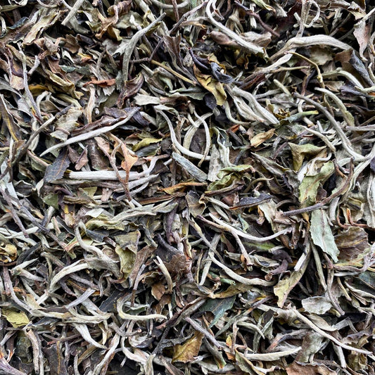 Our organic Yunnan White Moonlight is a very rich, sweet white tea. <span data-mce-fragment="1">The picking standard for this tea is one bud and one leaf -- the unoxidized buds give off notes of flowers and a hint of spice, while the lightly oxidized young leaves add notes of honey and fruit.