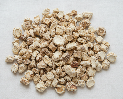 Angelica dahurian (Angelica Dahurica) is a flowering plant in the carrot family (Apiaceae) whose dried root is commonly used in herbal traditions. Often referred to as Bai Zhi in Traditional Chinese Medicine, it’s a fragrant root known for its warm, aromatic character. This root has been carefully lab tested to ensure purity and potency.