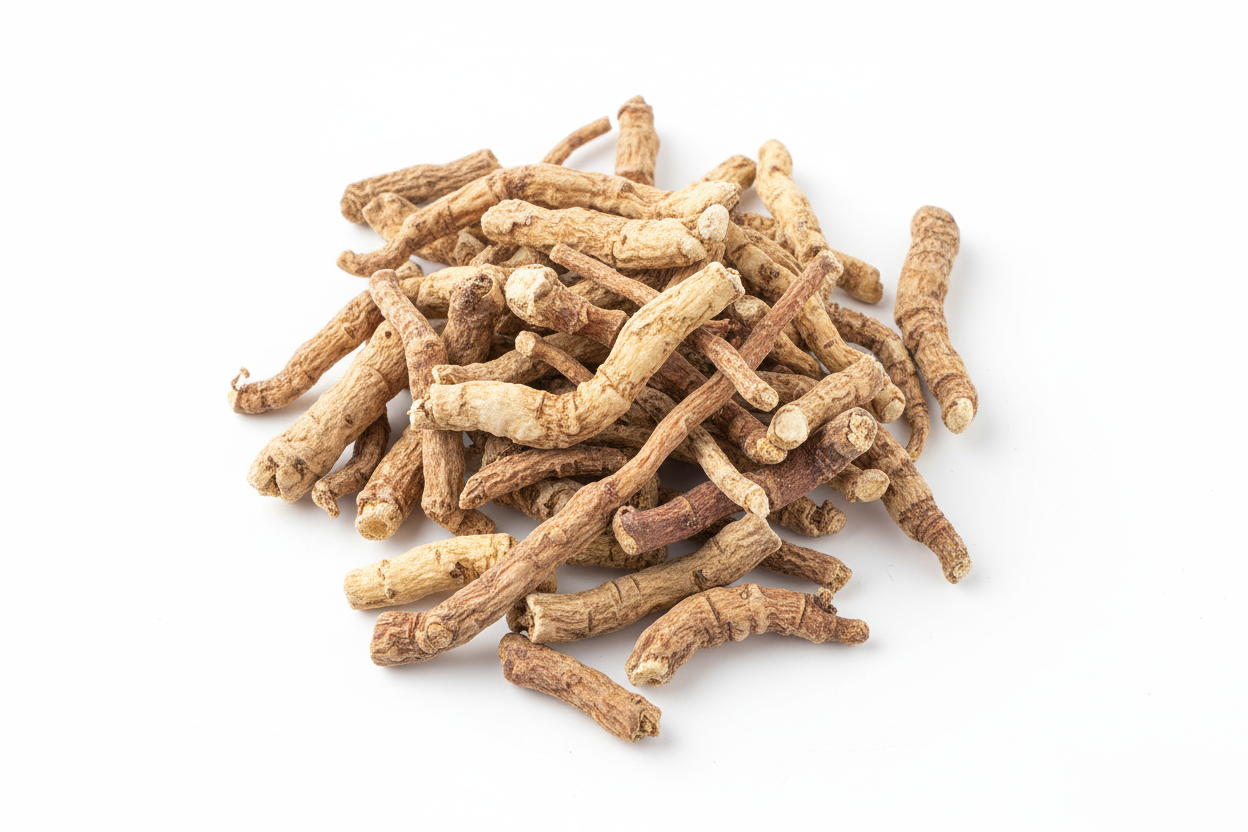 Chinese Senega Root (Prepared) | Traditional Chinese Herbs | Forage & Faire