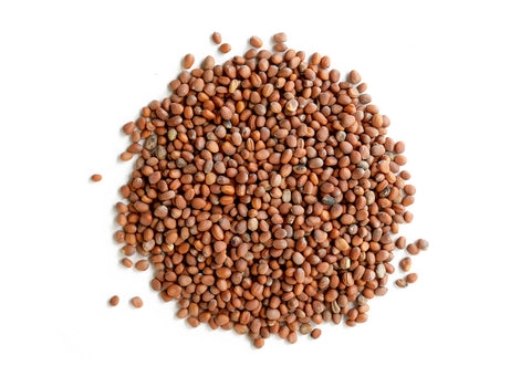 Radish Seeds (Lai Fu Zi), the seeds of Raphanus sativus, are cherished in TCM traditions for their role in harmonizing digestion and promoting a sense of lightness. These seeds are often used in herbal rituals to support digestive ease and balance. Ideal for apothecary collections and mindful herbal practices.